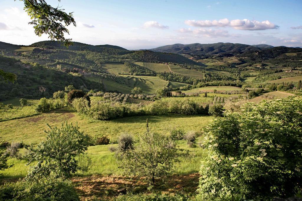 Гостевой дом Residenza Antico Chianti Панцано Экстерьер фото